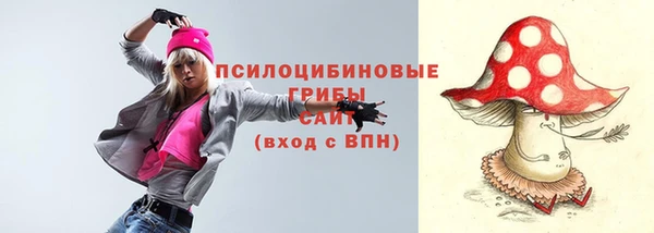 дживик Протвино